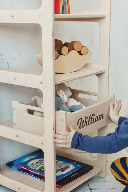 Montessori Book and Toy Shelf