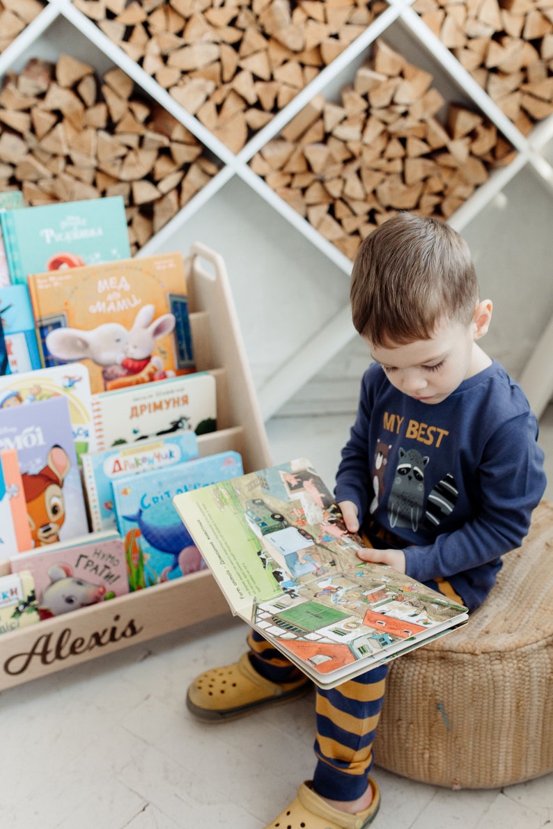 Montessori Book and Toy Shelf