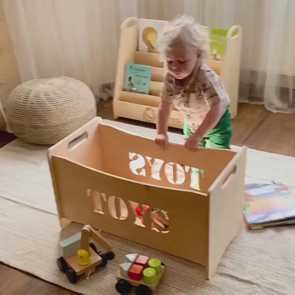 Toy Box | Nursery Organization